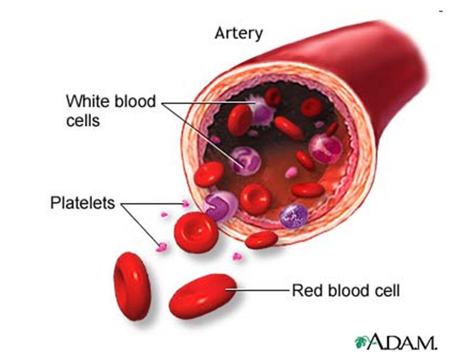 The components of blood Blood consists of four different components, each having their own job. 1. Red Blood Cells Carry Oxygen around the body 2.