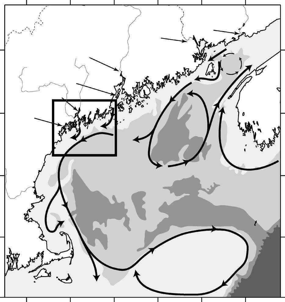 B.A. Keafer et al. / Deep-Sea Research II 52 (05) 26 2655 2633 45 Maine Penobscot River St. Croi River eastern Maine New Brunswick St.