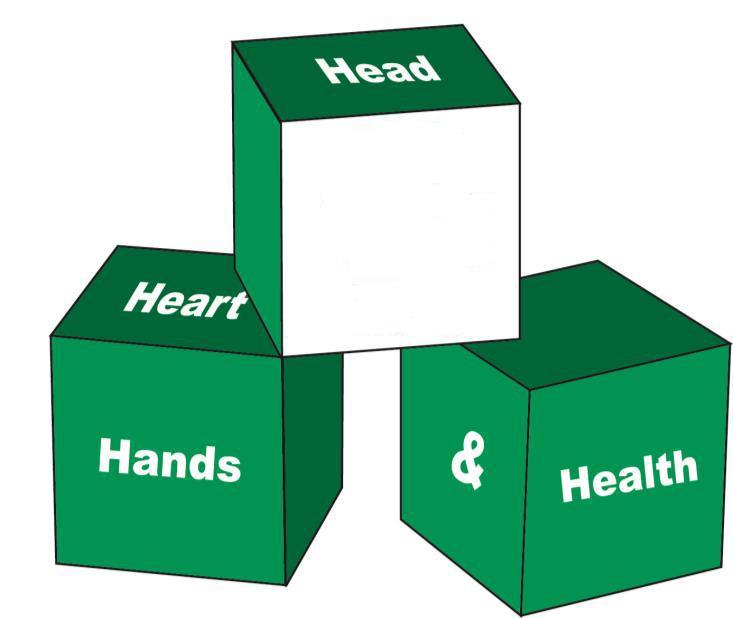 Structure of the 4-H Program In