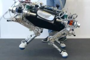 Scout II was also the first quadrupedal robot that was able to perform a rotary gallop fully autonomously [15].
