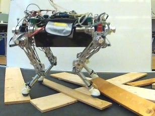 Note that the yellow strings attached to the body only served for safety reasons and did not support the robot.