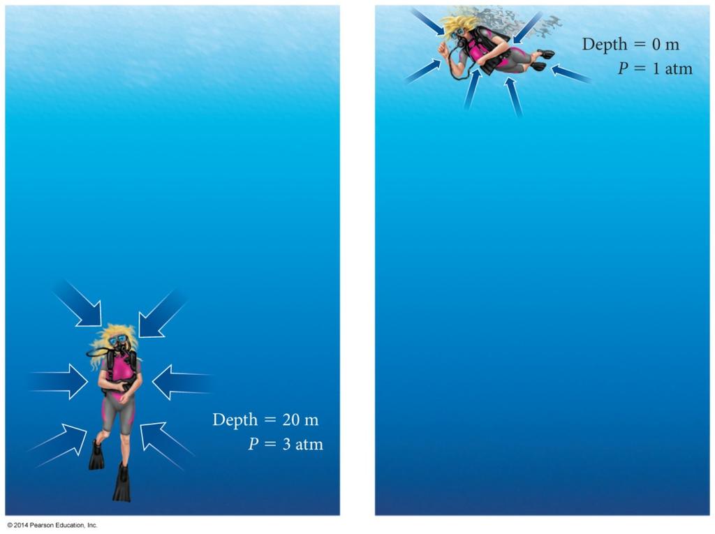 Boyle s Law and Diving For every 10 m of depth, a diver experiences approximately one additional atmosphere of pressure