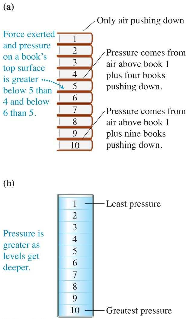 Why Does Pressure Vary at Different The top surface of the bottom book in the stack must balance the force exerted by the nine books above it plus the