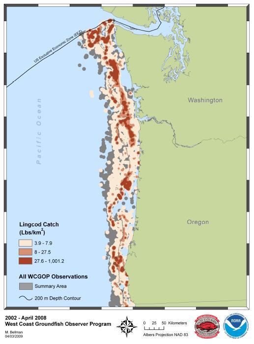 Figure 6. Lingcod catch in the observed fishery: 2002-8. From: Hamel, O.S., Sethi, S.A., and Wadsworth, T.F. 2009.