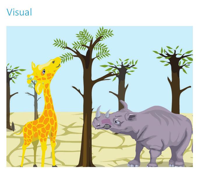 Procedure Warm-up Off the screens 1. Show students the picture of a giraffe and a rhino and ask them to talk about the animals, describe their appearance e.g. The giraffe has got a long neck.