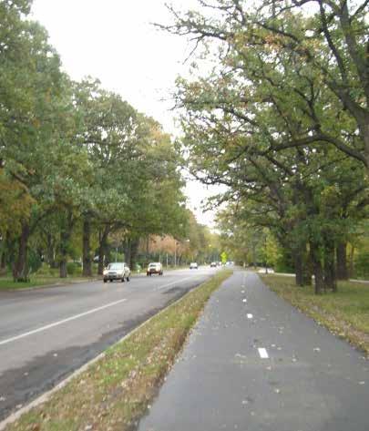 A sidepath is a facility for both pedestrians and bicyclists that is physically separated from motor vehicle traffic but located within the road right-of-way.