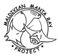 Research Projects at Hanifaru Maldivian Manta Ray Project www.maldivianmantas.com & www.saveourseas.