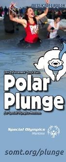 POLAR PLUNGE TOOLS Printed materials can be sent to you at no cost. Email tsappington@somt.