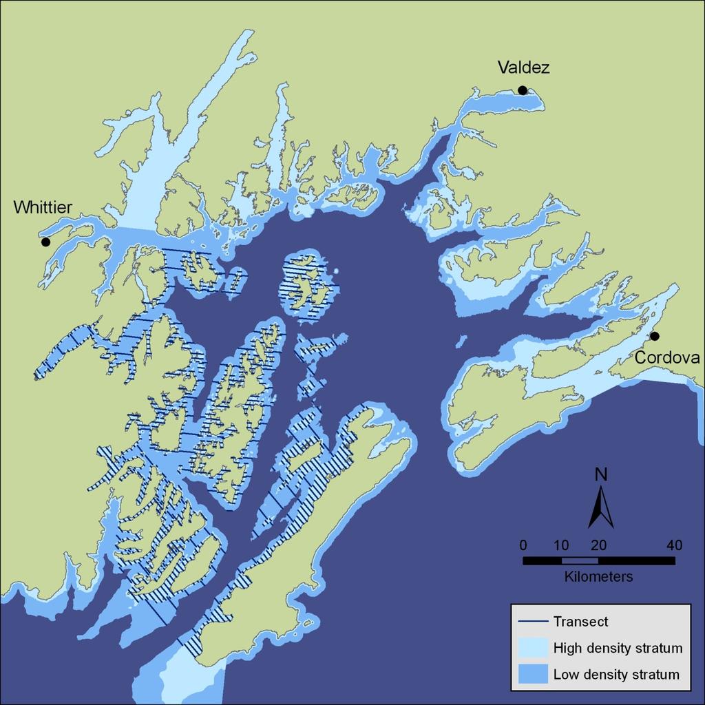 high density stratum. The intensive survey area also included an unoiled area along the northwestern shore of Montague Island between (Figure 2).