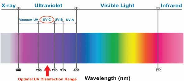 WHAT IS UV DISINFECTION? WHAT IS ULTRAVIOLET LIGHT? Ultraviolet (UV) light is energy within the electromagnetic spectrum that has shorter wavelengths than that which are visible to the human eye.