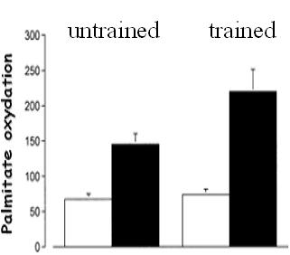 IHT: Δ mitochondrial substrate preference carbohydrate use (Glutamate) fat oxidation (Palmitate) 8 weeks of intense endurance training With training: Lipid use > carbohydrate use Training effect