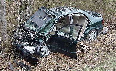 Impacts of Deer Overabundance Health and Property Deer Vehicle Collisions Goal #2: Reduce Deer Vehicle Collisions There has been an annual average of