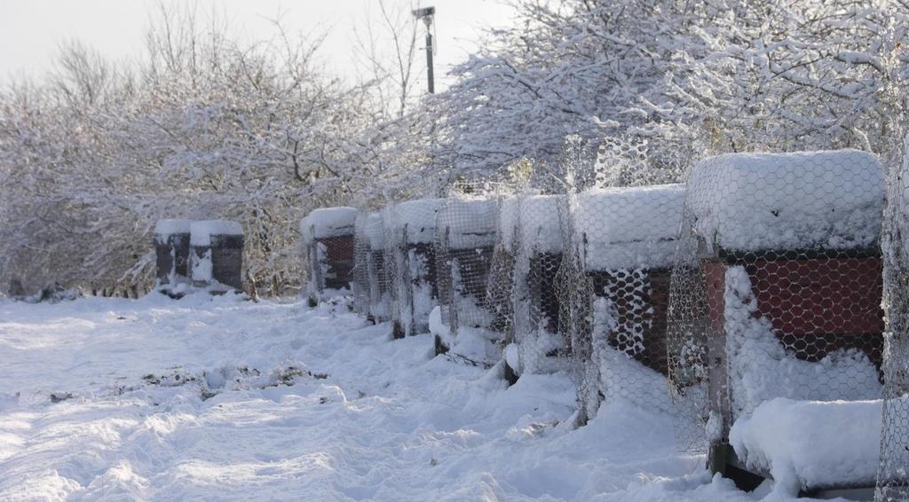 4 Apiary sites need choosing carefully to ensure that they have good access in all weather, firm but well drained ground, sunny, not in a frost pocket, good air circulation, etc.
