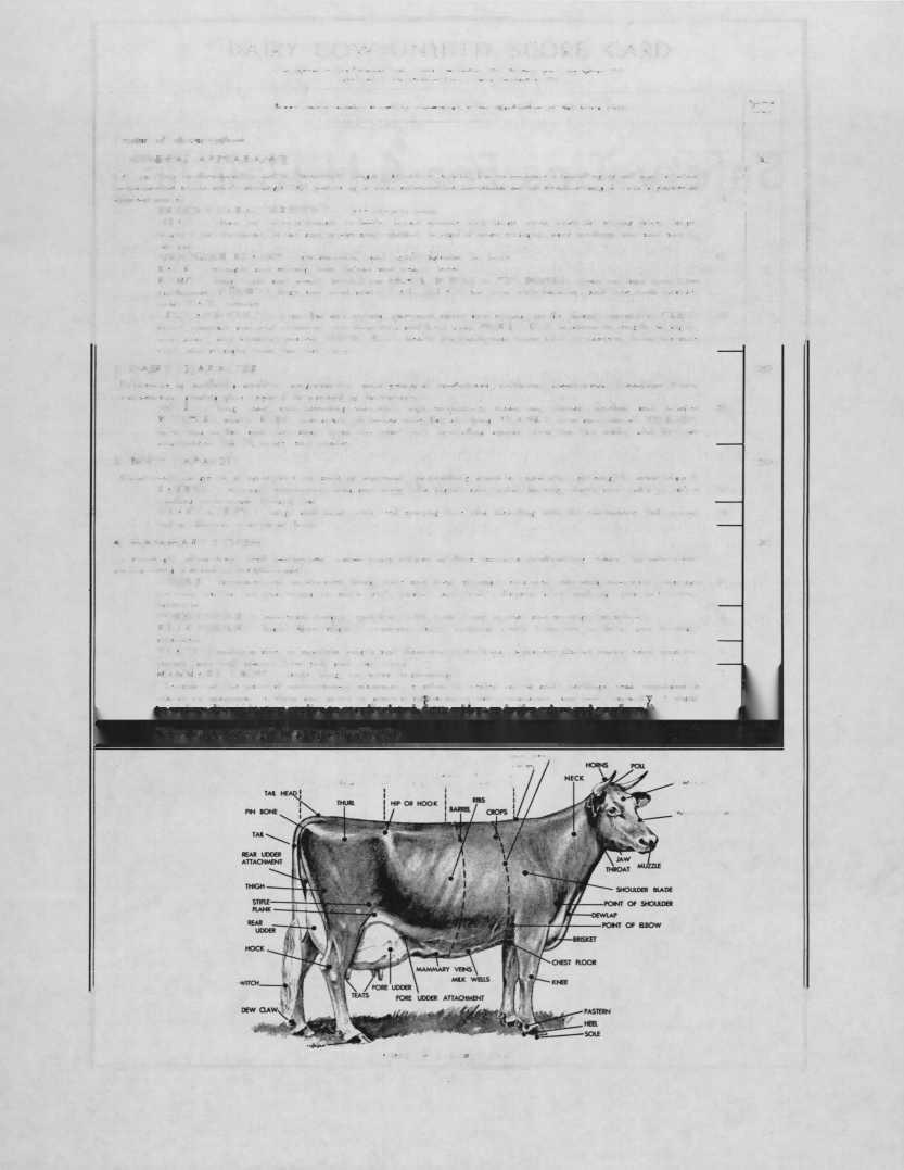 DAIRY COW UNIFIED SCORE CARD Copyrighted by The Purebred Dairy Cattle Association, 1943.
