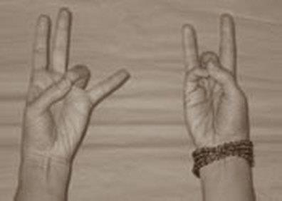 Benefits: Relaxes muscles, aligns the spine, reduced stress, cultivates fluidity Practice Tips: Helpful for arthritis and muscle pain Paschima Mudra Seal of the Back Body Right