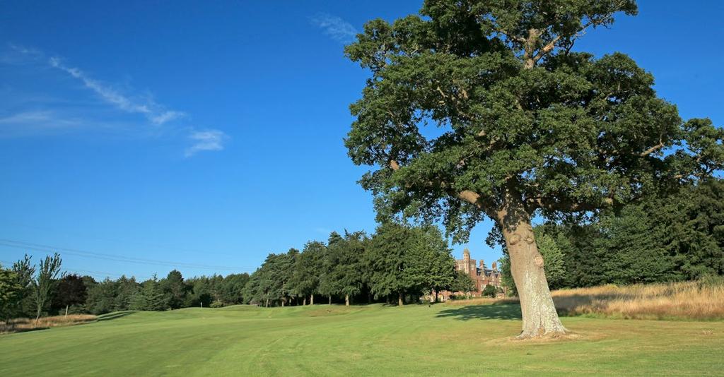 AN EXPERIENCE THAT YOU WILL TREASURE. The East Course Both courses have several signature holes which makes East Sussex National a true test of golf.