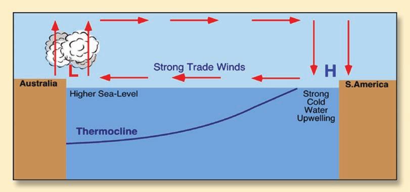coast of Peru (Figure 1). As a result, the trade winds over the Pacific Ocean ove strongly fro east to west.