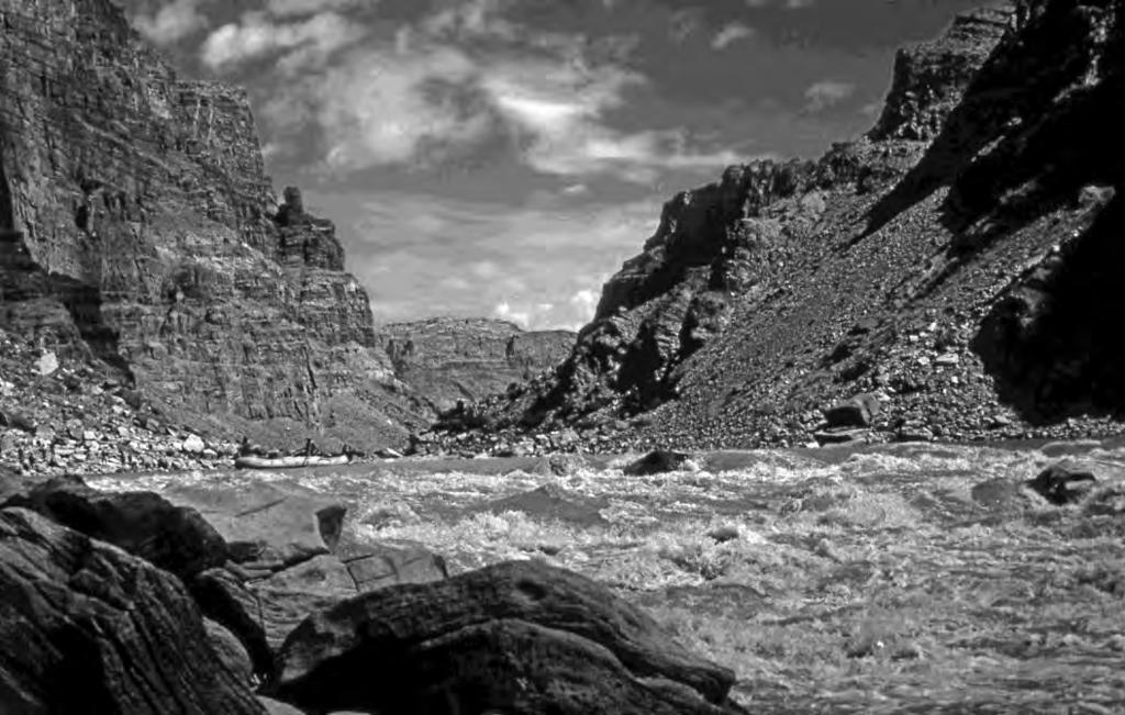 The Colorado River Home to native