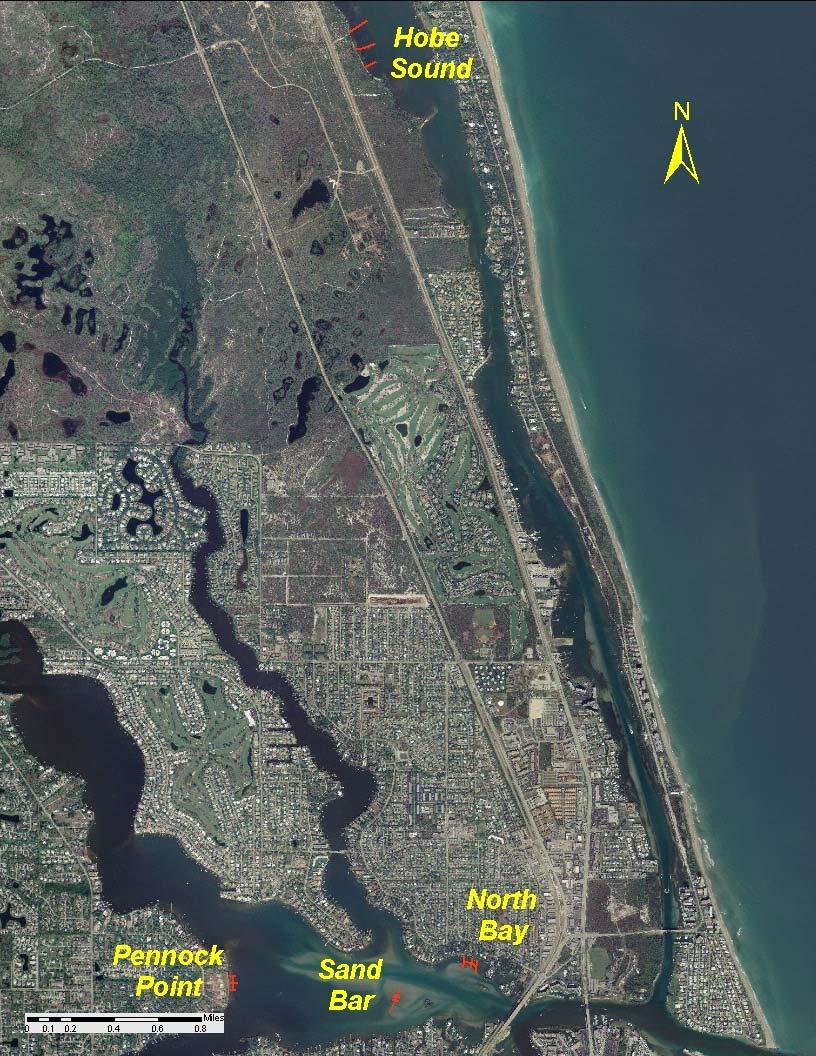 5 Figure 1. Seagrasses were sampled in the Loxahatchee River at three locations (North Bay, Sand Bar, and Pennock Point) and at a reference location in the Indian River Lagoon (Hobe Sound).