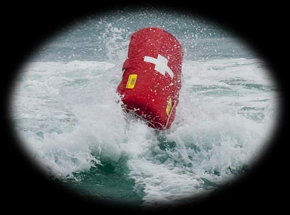 EMILY: A HIGH-TECH LIFESAVING BUOY EMILY HAS A REMOTE TO CONTROL ITS DIRECTION AND SPEED.