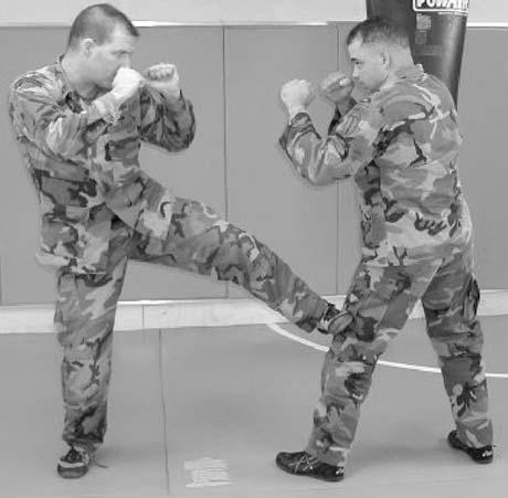 a. Lead Leg Front Kick (Figure 6-10). The lead leg front kick is not a very powerful kick, but it can be a very good tool to help control the range.