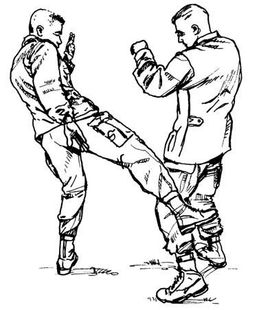 c. Shin Kick. The shin kick is a powerful kick, and it is easily performed with little training.