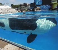 1 ORCA CARE & RESEARCH Meet-the-Expert Area The powerful and