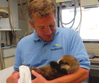 3 SEA OTTER CARE & CONSERVATION Meet-the-Expert Area