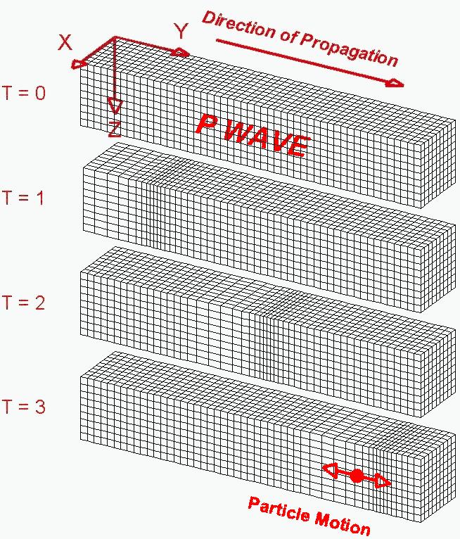 P-waves are a compression followed by a dilatation. The particle S-waves have an up motion followed by a down motion The particle motion is in the direction of propagation.