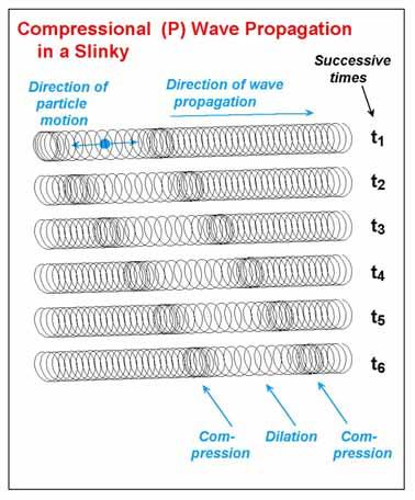 P waves and S waves can be easily demonstrated in the classroom with a slinky.