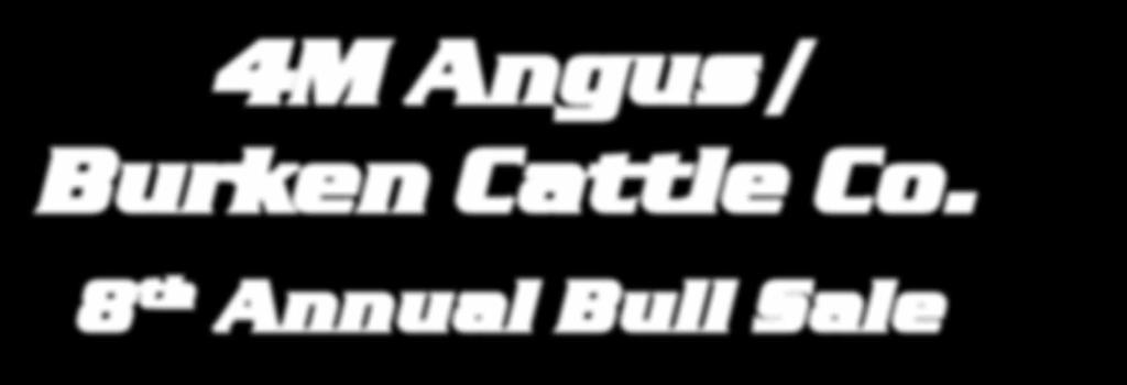 4M Angus / Burken Cattle Co.