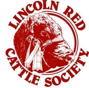 INDEX OF LINCOLN RED AI BULLS For more information please see our AI Portfolio on our website www.lincolnredcattlesociety.co.uk NAME HB # VOL / PAGE Highbarn Storm UK161993 600143 XP80526 114/47 Brackenhurst Ranger (93.
