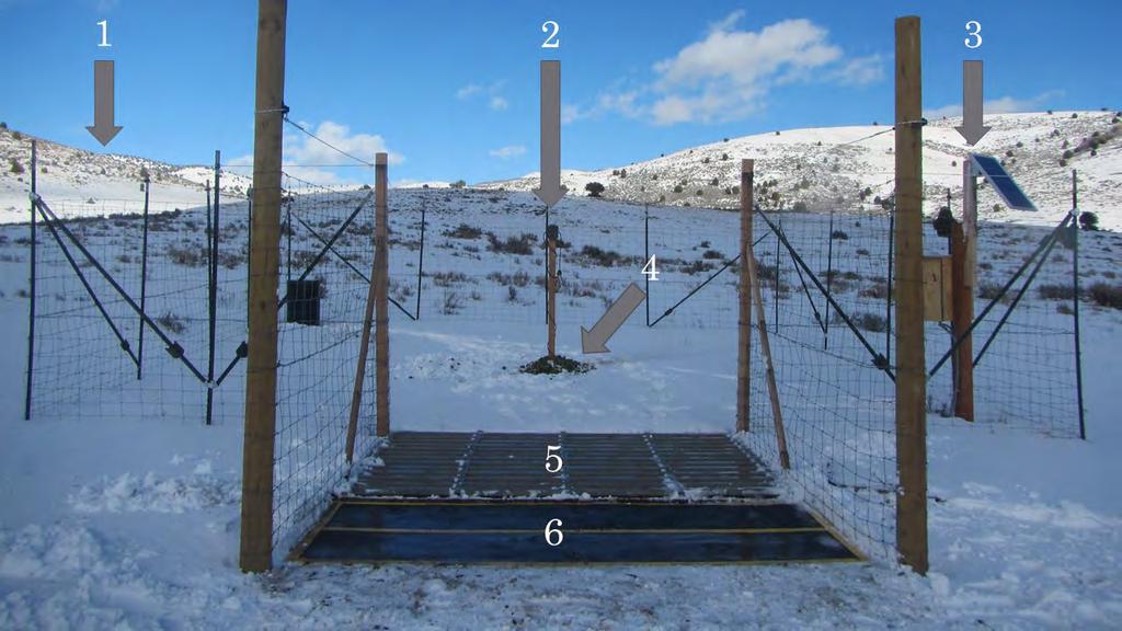 Figure 10. Front view of a 10 10-m wildlife exclosure used to test efficacy of 3 2.1-m cattle guards augmented with either 3 1.2-m (n = 2; pictured) or 3 0.
