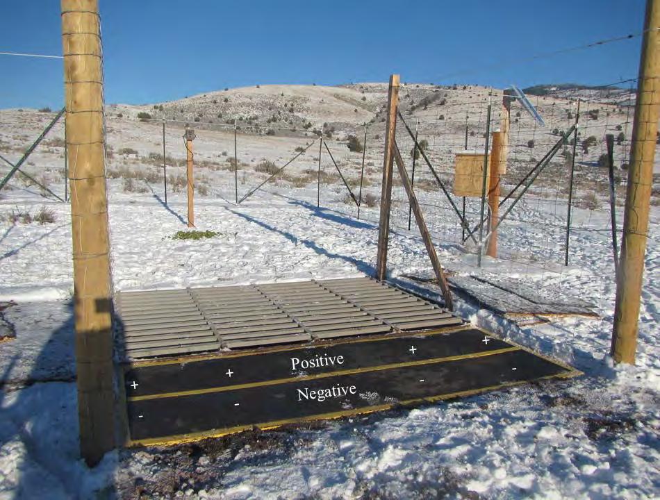 Figure 11. Close view of a 10 10-m wildlife exclosure used to test efficacy of 3 2.1-m cattle guards augmented with either 3 1.2-m (n = 2; pictured) or 3 0.