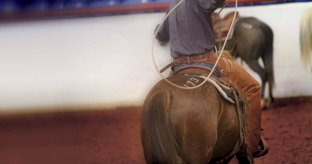 Off the Ranch A few tips on selling your ranch horses at auction. By Larri Jo Starkey Pputting on an auction can seem like a big chore.