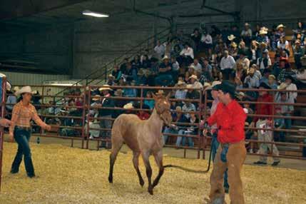 You ve got to weigh the expense (of putting on a sale), says auctioneer Steve Friskup, who has been in the business for 29 years and conducts many on-site ranch sales.