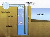 This is not normally economic at low water depths. 2. High pressure systems: e.g. dry mounted pressure cones. 3. Low energy systems: e.g. surface mixers or mixed columns.