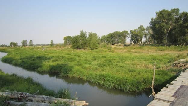 Irrigation water is supplied from the Sun River Ditch Company and there are 19 water shares with this property. Yearly irrigation costs are approximately $19 per share.