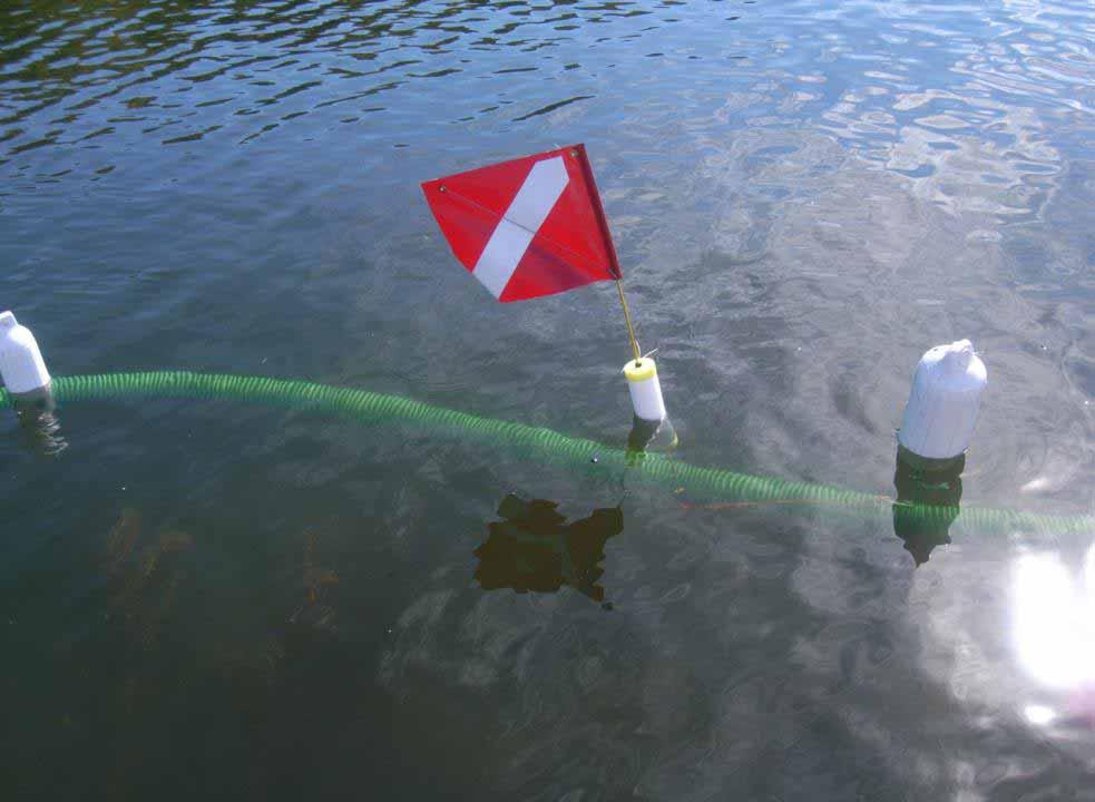 MANAGEMENT OF AQUATIC INVASIVE PLANT SPECIES USING DIVER ASSISTED SUCTION HARVESTING