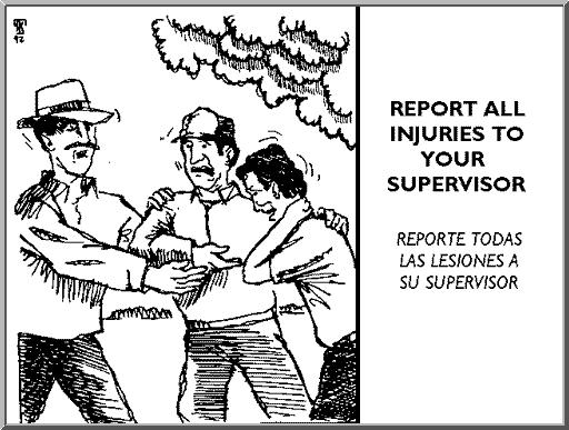 REPORT ALL INJURIES TO YOUR SUPERVISOR As with getting medical attention for all injuries, it is equally important that you report all injuries to your supervisor.