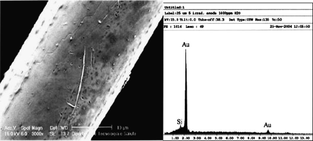364 ARTICLE IN PRESS S. Belostotski et al. / Nuclear Instruments and Methods in Physics Research A 591 (08) 353 366 Fig. 14. SEM micrograph of the wire irradiated with gas mixture containing 0.