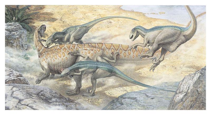 Dinosaurs, the most diverse reptiles to inhabit land Some of the largest animals ever to inhabit land