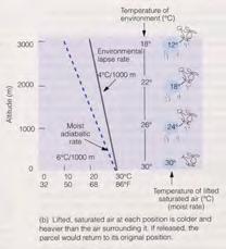 due to both changes in pressure and latent heat effects Stability and the moist adiabatic lapse rate Atmospheric stability depends on the environmental lapse rate A rising saturated air parcel cools