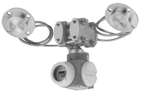 flange (ceramic, flush-mounted) Application The transmitter is used for the following differential pressure measurement tasks: Flowrate (volumetric or mass flow) in connection with