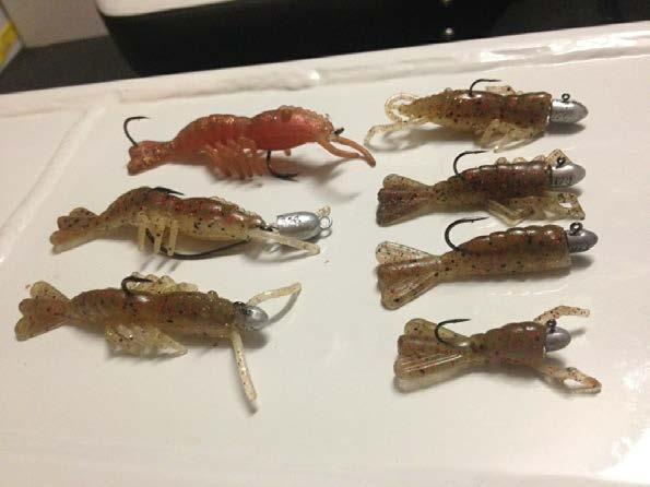 Getting the most out of your SHRIMPZ Over the years my passion for lure fishing has grown to the extent that I would buy different lures just because I wanted them in my tackle box and liked what