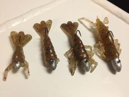 Prawns, crabs, yabbies, shrimps get creative!