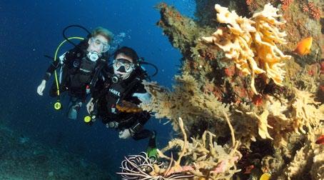 This internationally recognized diving course is taught to PADI standards and consists of 3 academic sessions with 3 confined water training sessions followed by 2 open water dives.