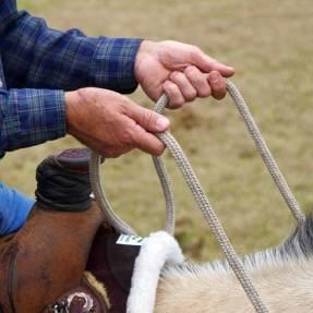Leather or woven split reins or mecate reins are acceptable with a
