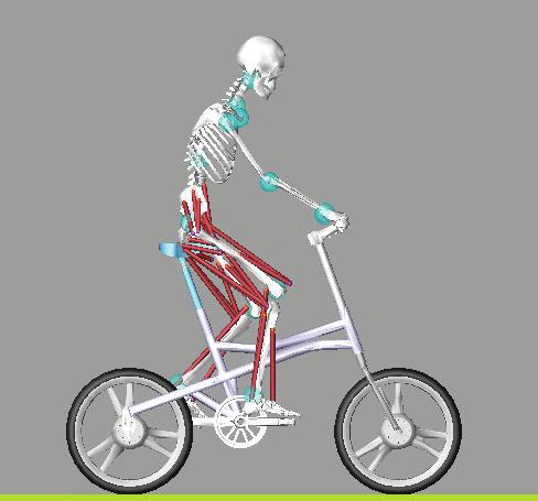 The human body model is then adjusted by bring up LifeMOD posture panel and inputting relative joint angles so that the model would fit the city bicycle and race bicycle riding posture respectively