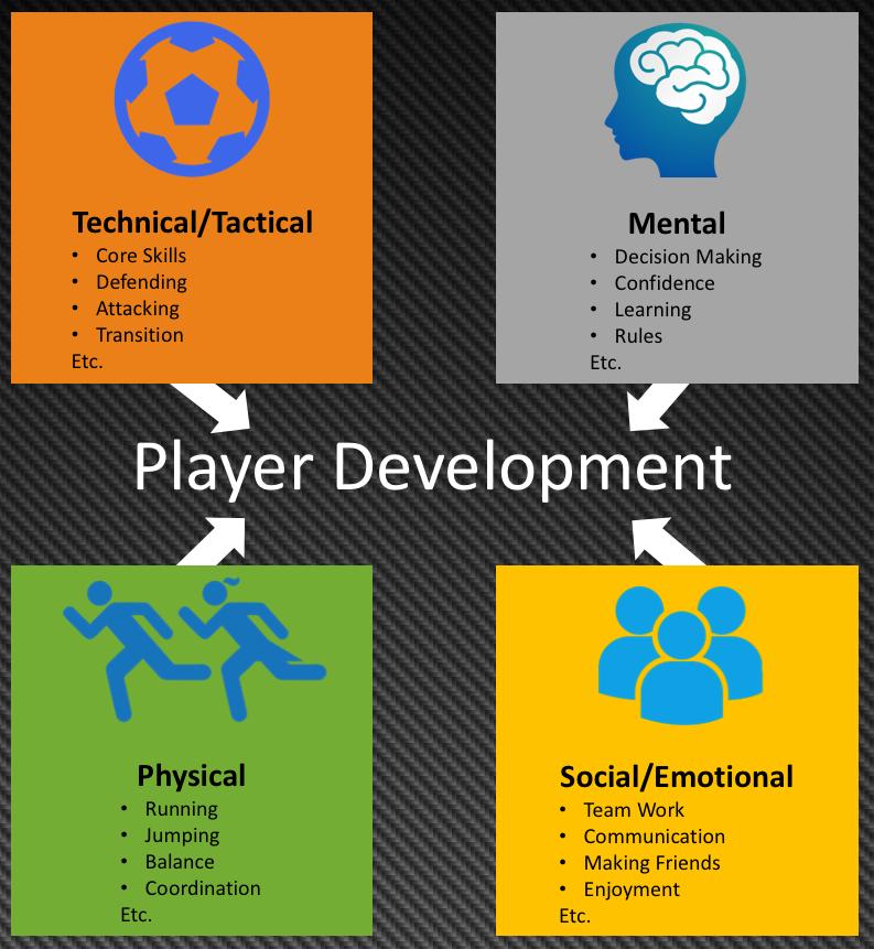 8.6 Periodised Training Program Periodisation is the division of the overall training a player or team receives into small periods to accomplish different goals.
